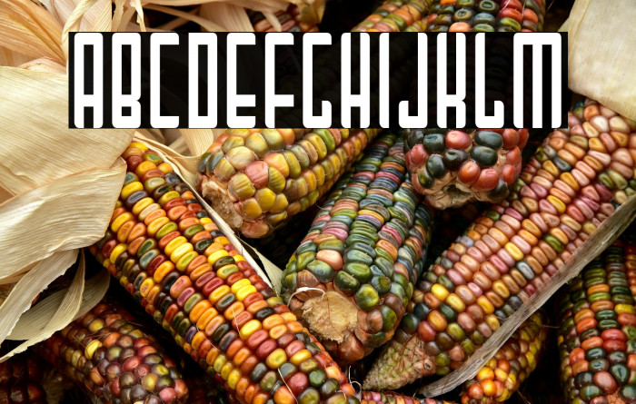 MaiTai-Regular Example 1