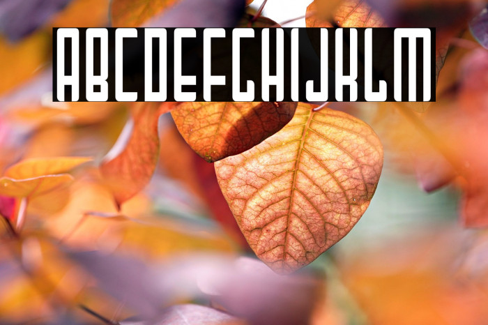 MaiTai-Regular Example 3