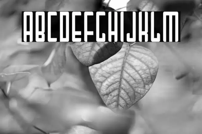 MaiTai-Regular Font examples