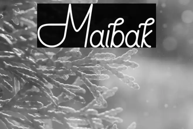 Maibak Example 1