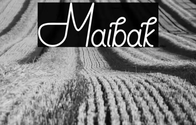 Maibak Example 3