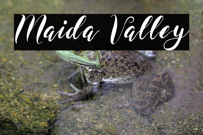 Maida Valley Example 1