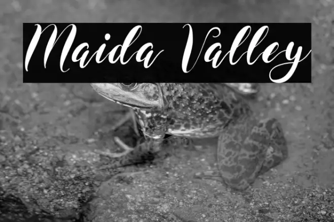 Maida Valley Example 1