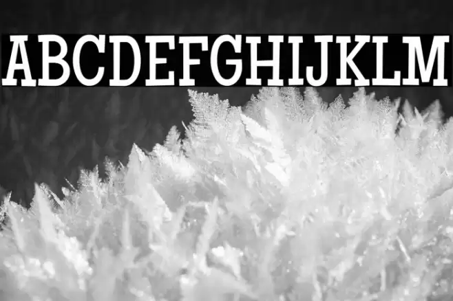 Maiden Orange Font examples