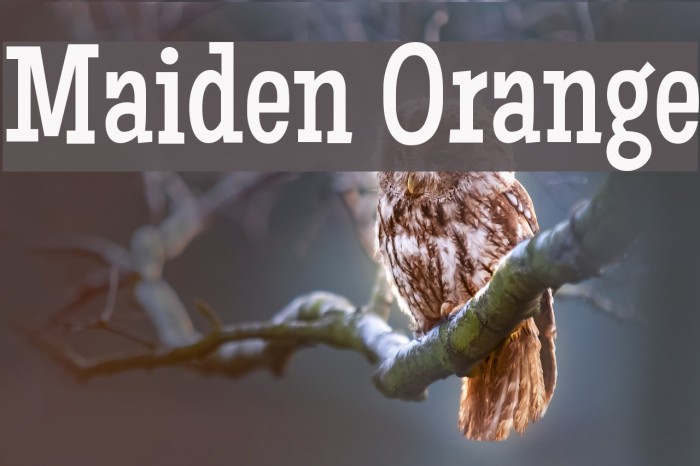 Maiden Orange Font examples