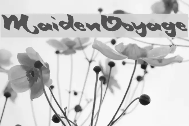 MaidenVoyage Example 3
