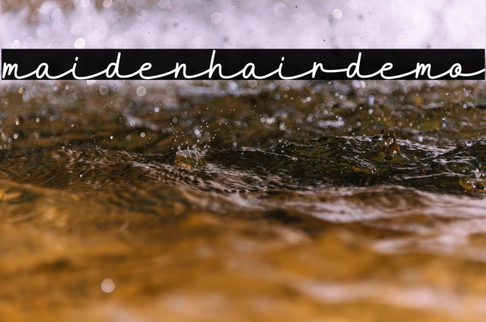 Maidenhair-DEMO Example 1