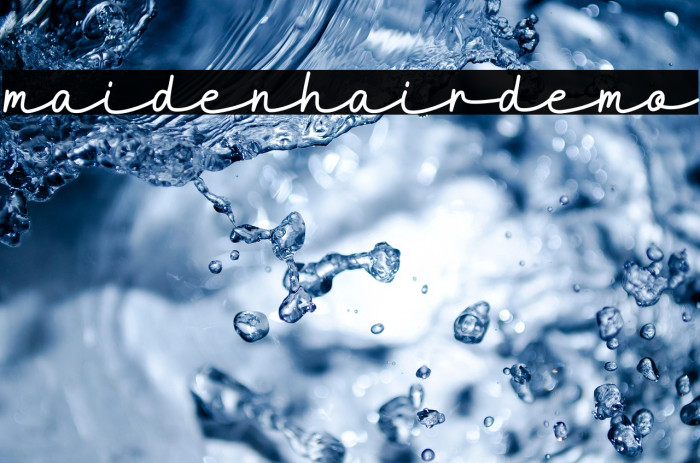 Maidenhair-DEMO Example 2