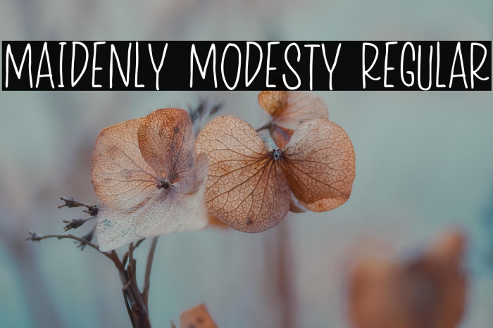 Maidenly Modesty Regular Example 3