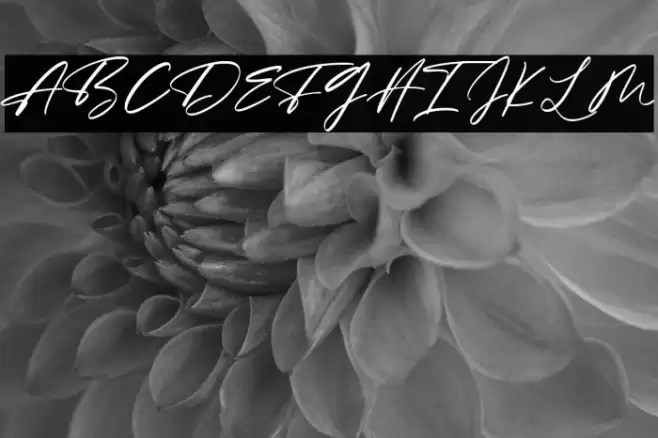 Maidstone Font examples