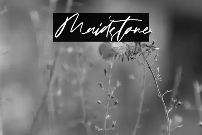 Maidstone Font examples