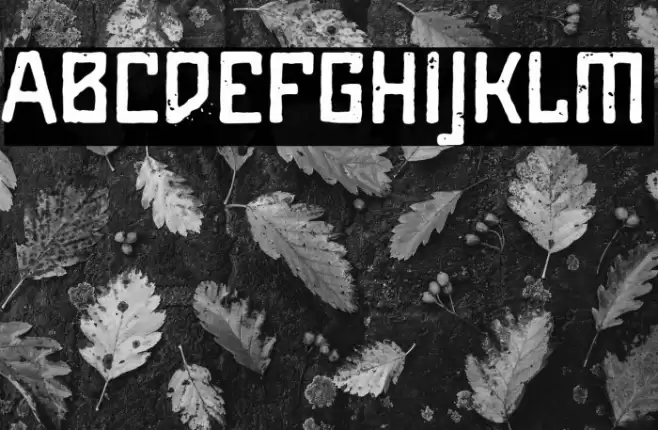 Maiers Alte Nr.8 Reduced Bold Font examples