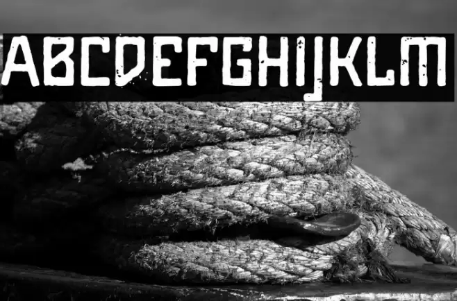 Maiers Alte Nr.8 Reduced Bold Font examples