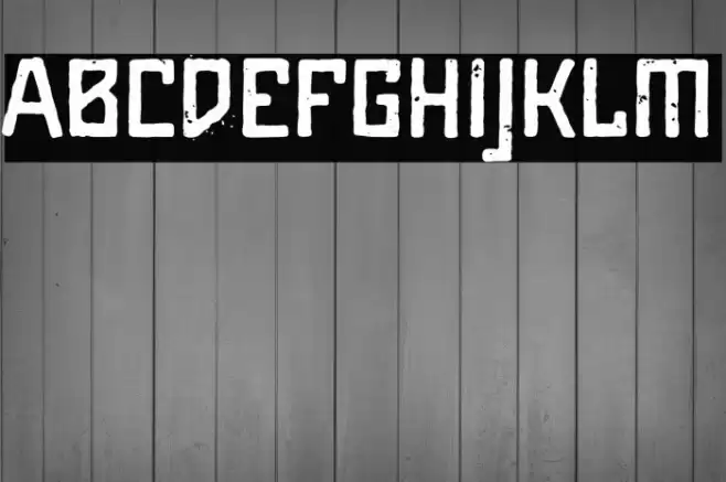 Maiers Alte Nr.8 Reduced Bold Font examples