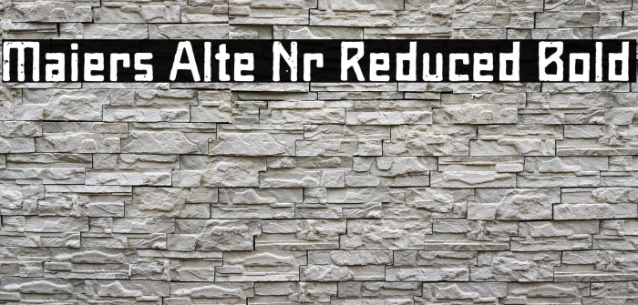 Maiers Alte Nr.8 Reduced Bold Example 1