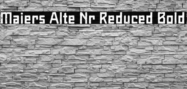 Maiers Alte Nr.8 Reduced Bold Font examples