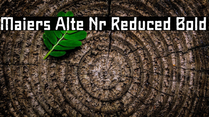 Maiers Alte Nr.8 Reduced Bold Example 2