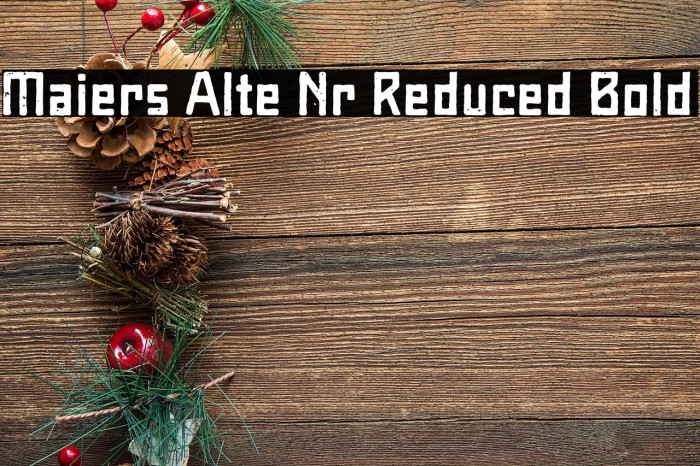 Maiers Alte Nr.8 Reduced Bold Example 3