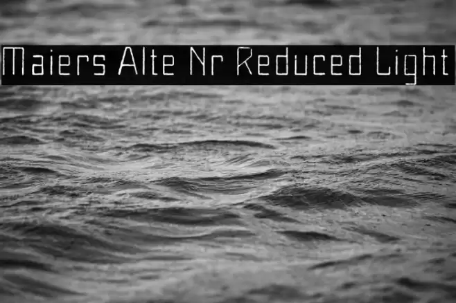 Maiers Alte Nr.8 Reduced Light Font examples