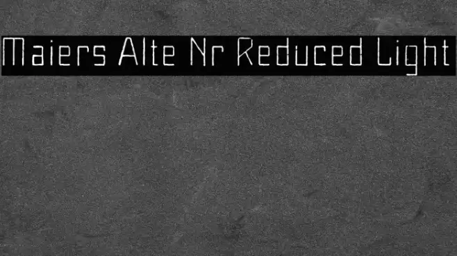 Maiers Alte Nr.8 Reduced Light Font examples