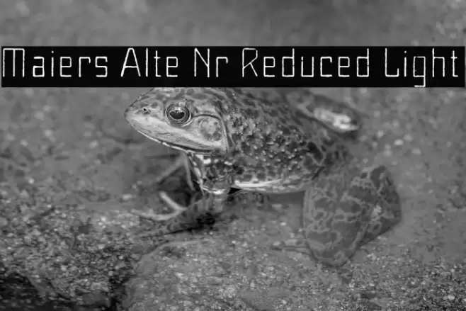 Maiers Alte Nr.8 Reduced Light Font examples
