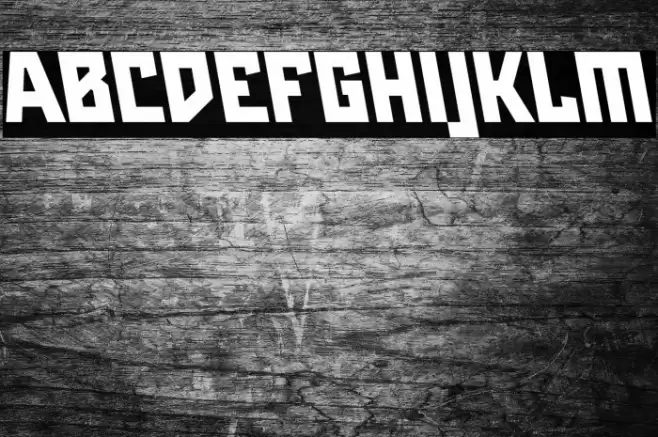 Maiers Neue Nr.8 Reduced Black Slanted Font examples