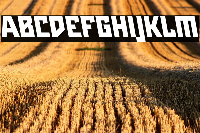 Maiers Neue Nr.8 Reduced Black Slanted Example 2