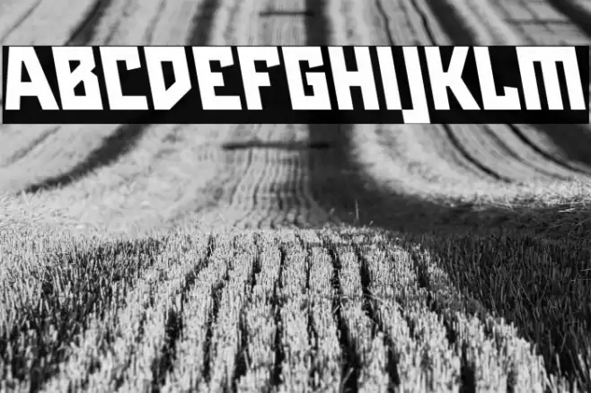 Maiers Neue Nr.8 Reduced Black Slanted Font examples