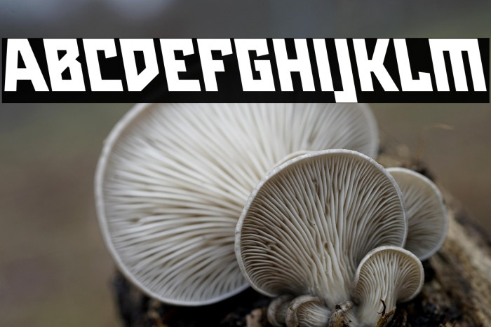 Maiers Neue Nr.8 Reduced Black Slanted Example 3