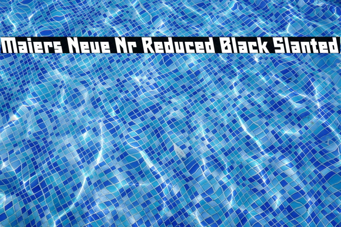 Maiers Neue Nr.8 Reduced Black Slanted Example 1