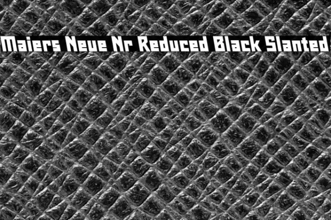 Maiers Neue Nr.8 Reduced Black Slanted Font examples