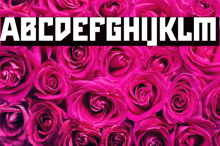 Maiers Neue Nr.8 Reduced Black Example 1