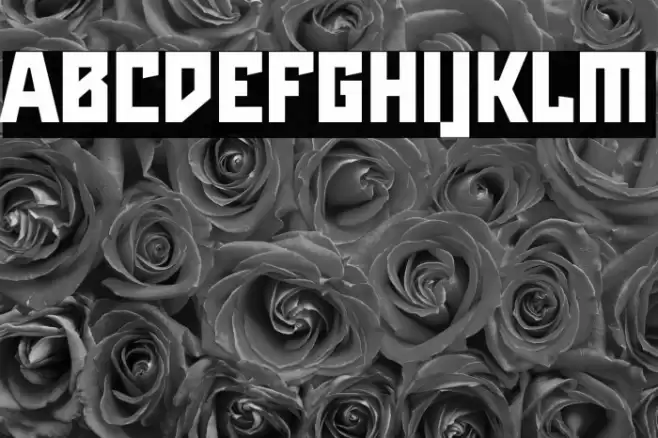 Maiers Neue Nr.8 Reduced Black Font examples