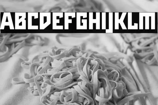 Maiers Neue Nr.8 Reduced Black Font examples