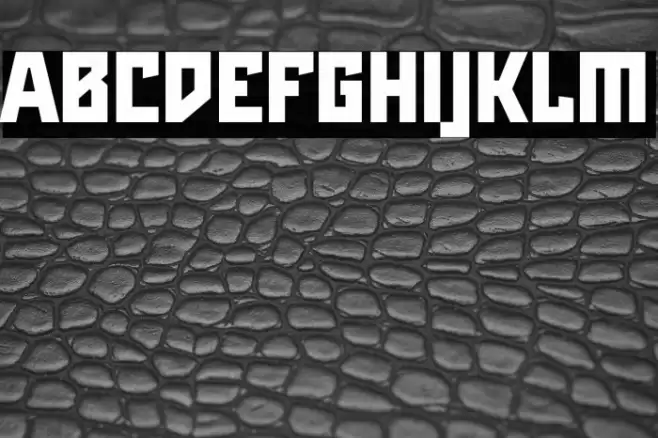 Maiers Neue Nr.8 Reduced Black Font examples