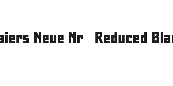 Maiers Neue Nr.8 Reduced Black Logo