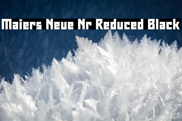 Maiers Neue Nr.8 Reduced Black Example 1