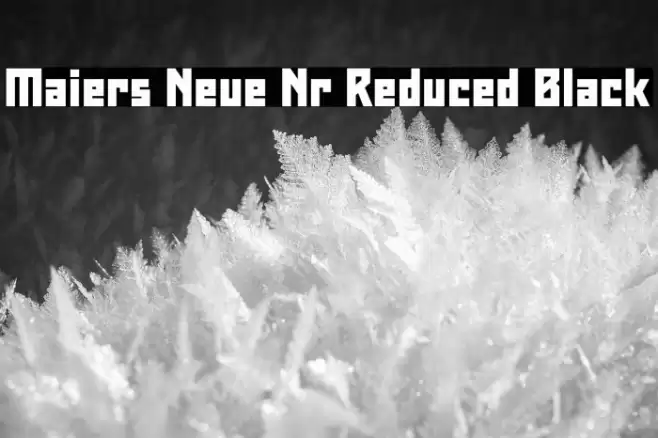 Maiers Neue Nr.8 Reduced Black Font examples