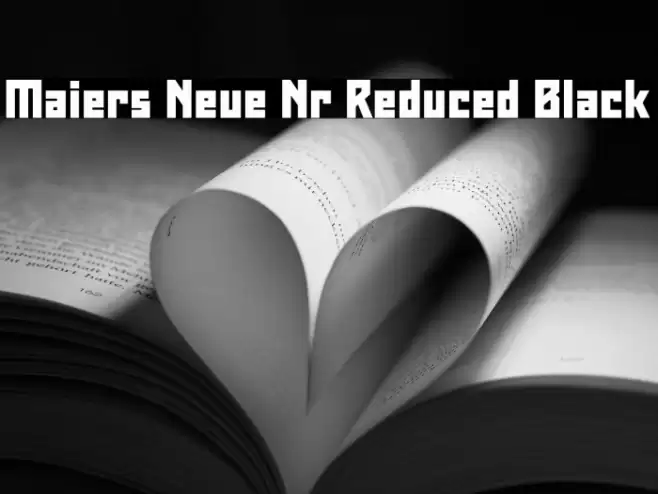 Maiers Neue Nr.8 Reduced Black Font examples