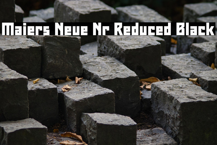 Maiers Neue Nr.8 Reduced Black Example 3