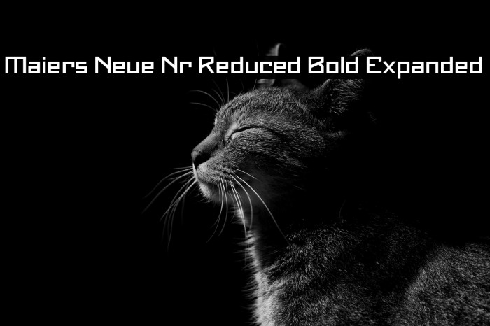 Maiers Neue Nr.8 Reduced Bold Expanded Example 2