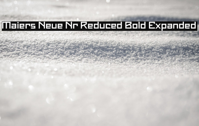 Maiers Neue Nr.8 Reduced Bold Expanded Example 3