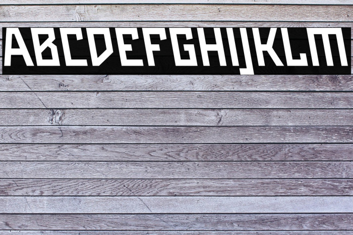 Maiers Neue Nr.8 Reduced Bold Slanted Example 2