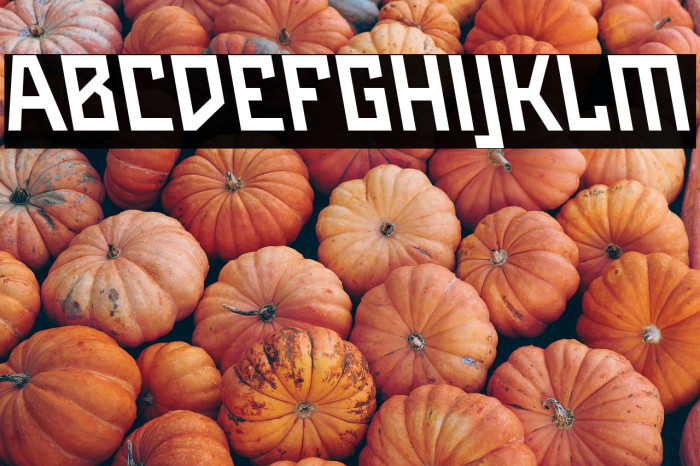 Maiers Neue Nr.8 Reduced Bold Slanted Example 3