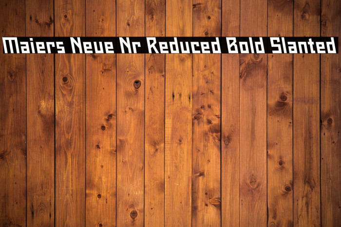 Maiers Neue Nr.8 Reduced Bold Slanted Example 1