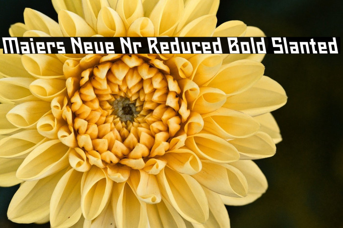 Maiers Neue Nr.8 Reduced Bold Slanted Example 2