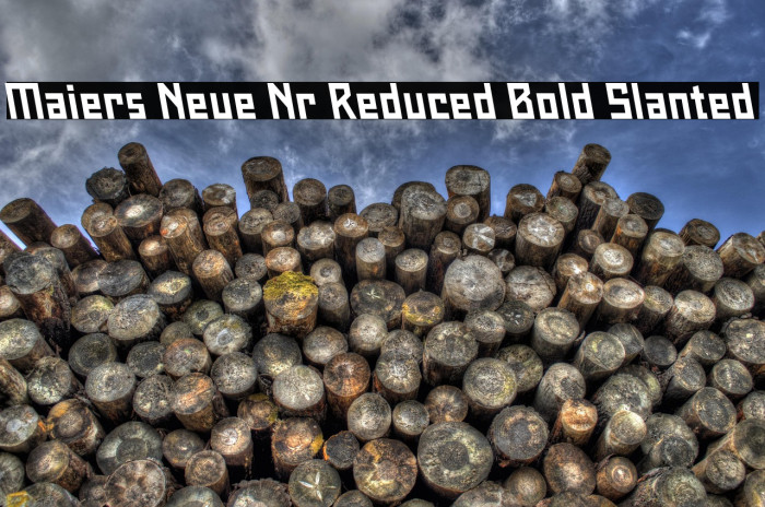 Maiers Neue Nr.8 Reduced Bold Slanted Example 3