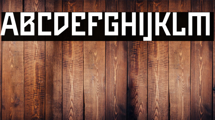 Maiers Neue Nr.8 Reduced Bold Example 1