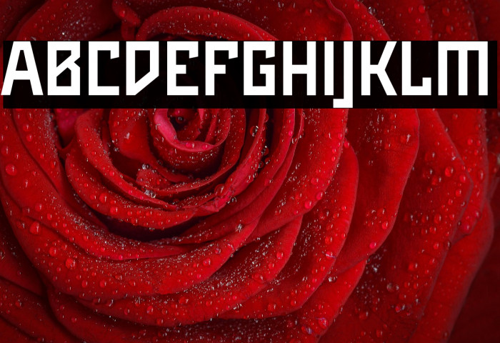 Maiers Neue Nr.8 Reduced Bold Example 2