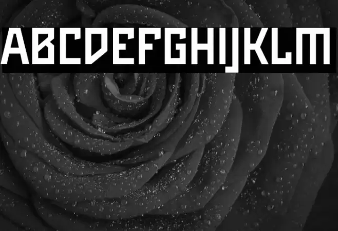 Maiers Neue Nr.8 Reduced Bold Font examples